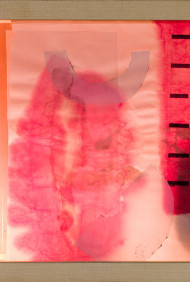20150423-_94Q4784-Edit_web