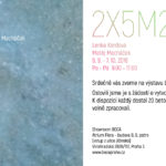 2x5m2