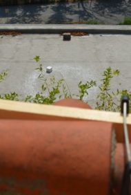 dsc_0030